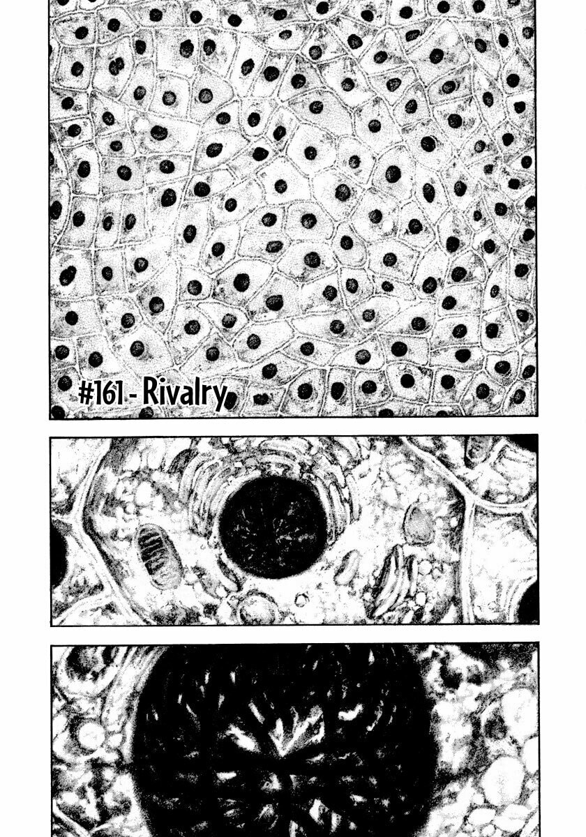 The Climber (Kokou no Hito) Manga Chapter 161 page 1 - Rivalry scene