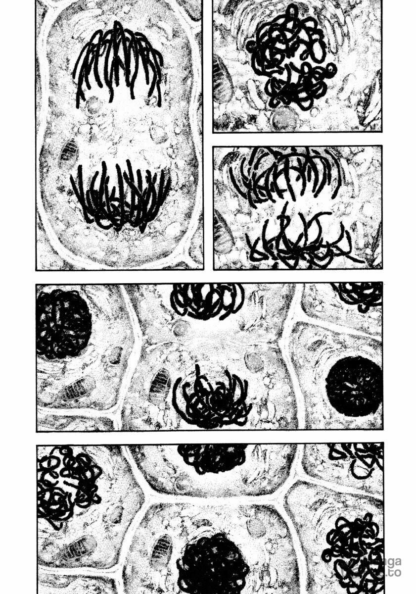 The Climber (Kokou no Hito) Manga Chapter 161 page 5 - Rivalry scene