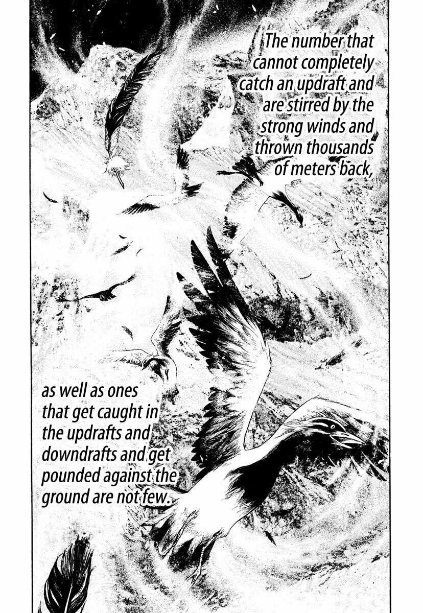The Climber (Kokou no Hito) Manga Chapter 168 page 12 - Instinct scene