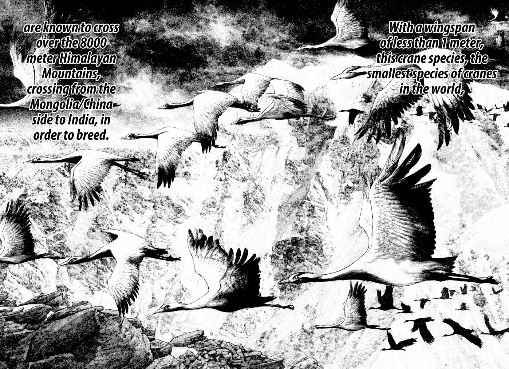 The Climber (Kokou no Hito) Manga Chapter 168 page 9 - Instinct scene
