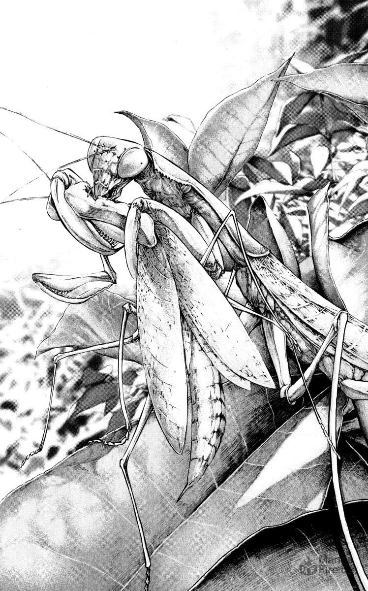 The Climber (Kokou no Hito) Manga Chapter 51 page 5 - First Snow Capped Peak scene